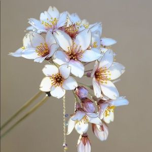 Meet your Posher, Jaerin